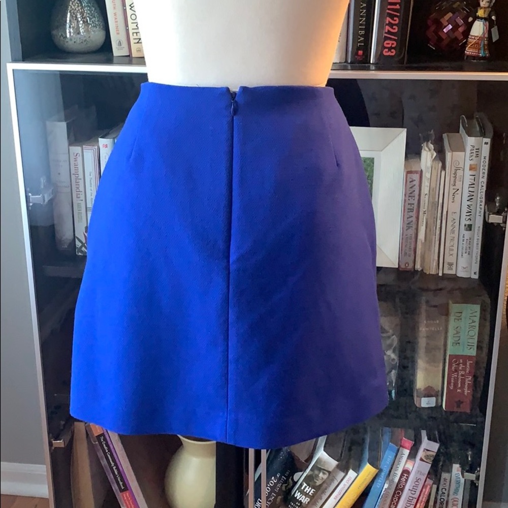 Mod Mini Skirt - Picture 3 of 3